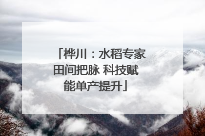 桦川：水稻专家田间把脉 科技赋能单产提升
